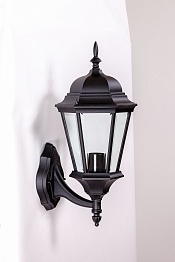 Светильник настенный Oasis Light 91401L Bl