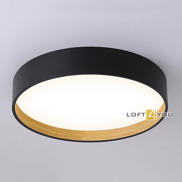 Светильник потолочный Sign Ceiling Color L08654