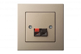Аудио розетка Одноместная Шампань LIREGUS EPSILON 28-324