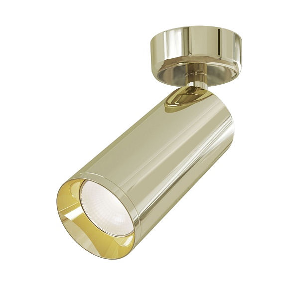 Потолочный светильник Maytoni Ceiling & Wall C017CW-01G