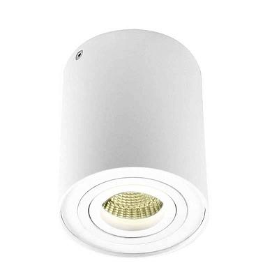 Потолочный светильник Donolux DL18613/01WW- R White