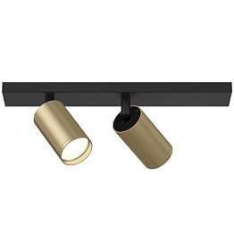 Потолочный светильник Maytoni Ceiling & Wall Focus S C051CL-02BMG