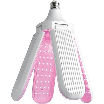 Лампа светодиодная 4-х лепестковая Feron 48445 LB-7000 E27 40W красно-синий спектр Feron