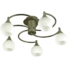 Светильник потолочный Arte Lamp OPAL A8180PL-5AB