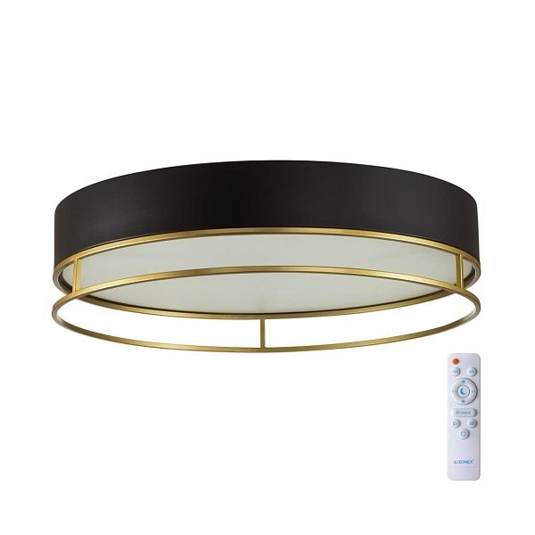 Потолочный светильник СОНЕКС AVRA LED 7723/100L