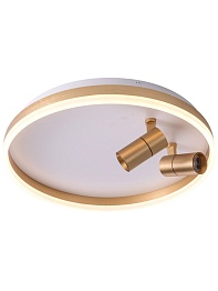 Светильник ZORTES RAIZY ZRS.1888.02