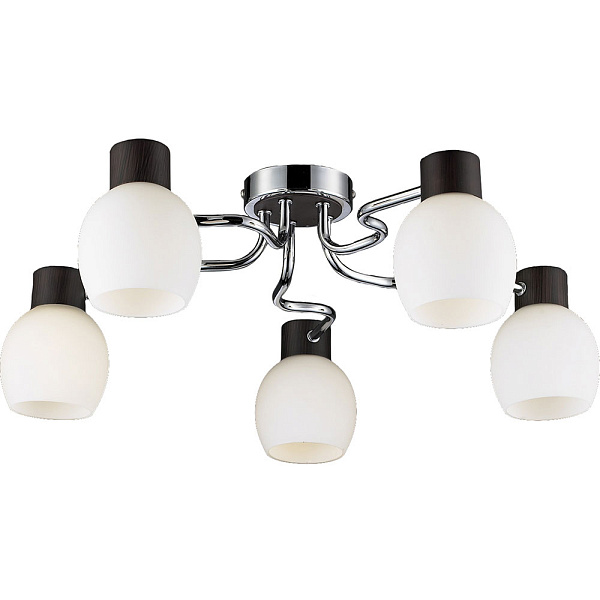 Потолочная люстра Lussole Carpino LSC-8503-05