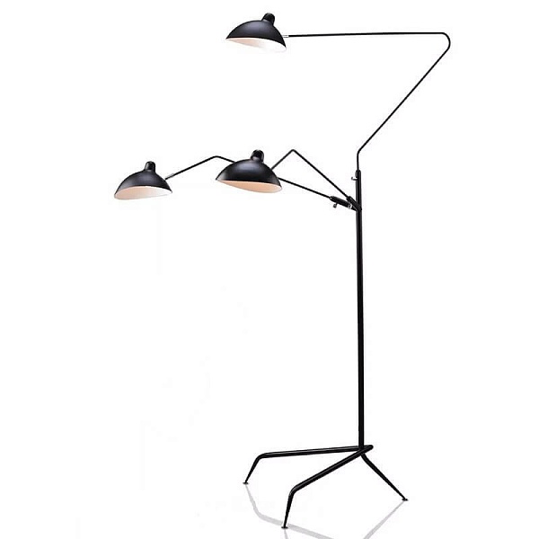 Торшер L'Arte Luce Luxury Spider L05644