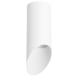 Накладной светильник с торцевой насадкой Lightstar Rullo R43636
