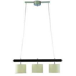 Светильник подвесной Arte Lamp WOODS A1038SP-3BK