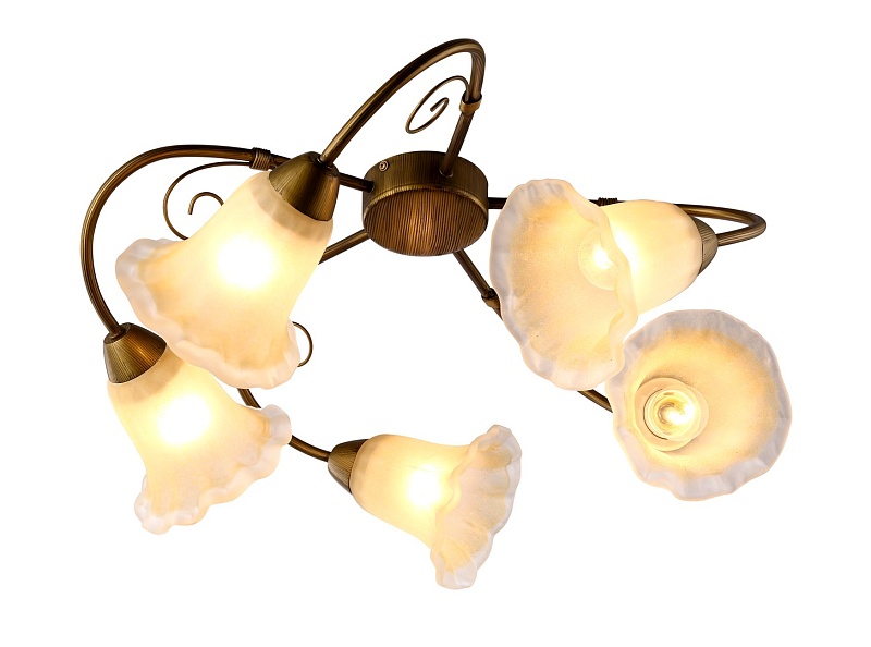 Потолочная люстра Arte Lamp 79 A9361PL-5BR