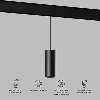 Умный трековый светильник 15W 2700-6500K Dim Amend чёрный Slim Magnetic 85073/01 Elektrostandard 469