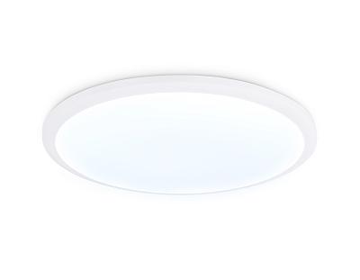 Потолочный светодиодный светильник Ambrella Light ORBITAL FZ1231