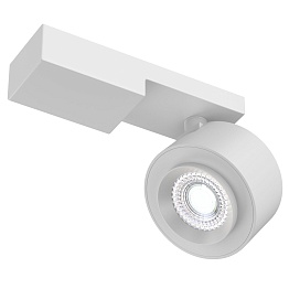 Потолочный светильник Maytoni Technical Treo C062CL-L12W4K