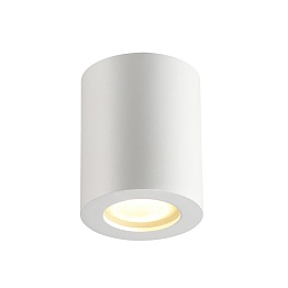 Потолочный светильник Odeon Light Aquana 3571/1C