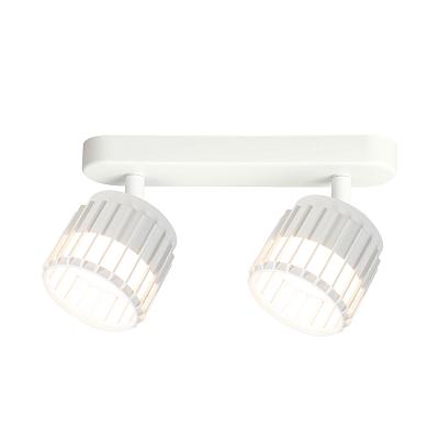 Накладной спот Arte Lamp ATRIA A8031PL-2WH