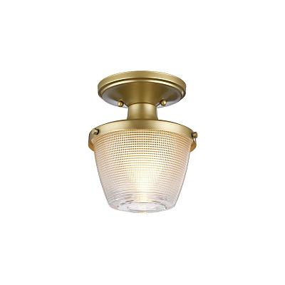 Светильник потолочный Quoizel Dublin QZ-DUBLIN-SF-PNBR