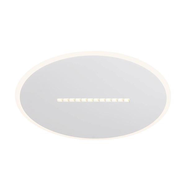 Потолочный светильник Freya Shine FR6105CL-L73W