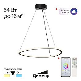 Люстра подвесная черная с пультом Citilux TRIO CL215B051