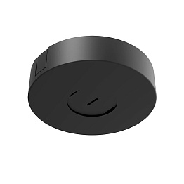 Потолочная чаша Divinare DECORATO 2523/06-200N