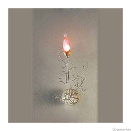 Patrizia Volpato 4061/APP1 rosso/silver/nichel бра
