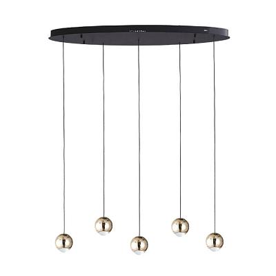 Подвесной светильник Lumien Hall Danay LH8027/5P-BK-SGD