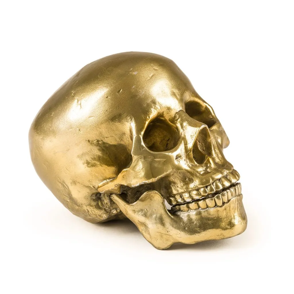 Статуэтка Seletti Wunderkrammer Human Skull